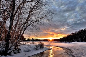 Winter landscape