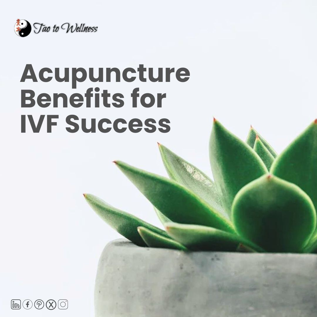 Acupuncture Benefits for IVF Success Berkeley Acupuncture
