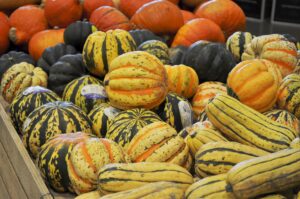 Colorful squashes for healthy eating