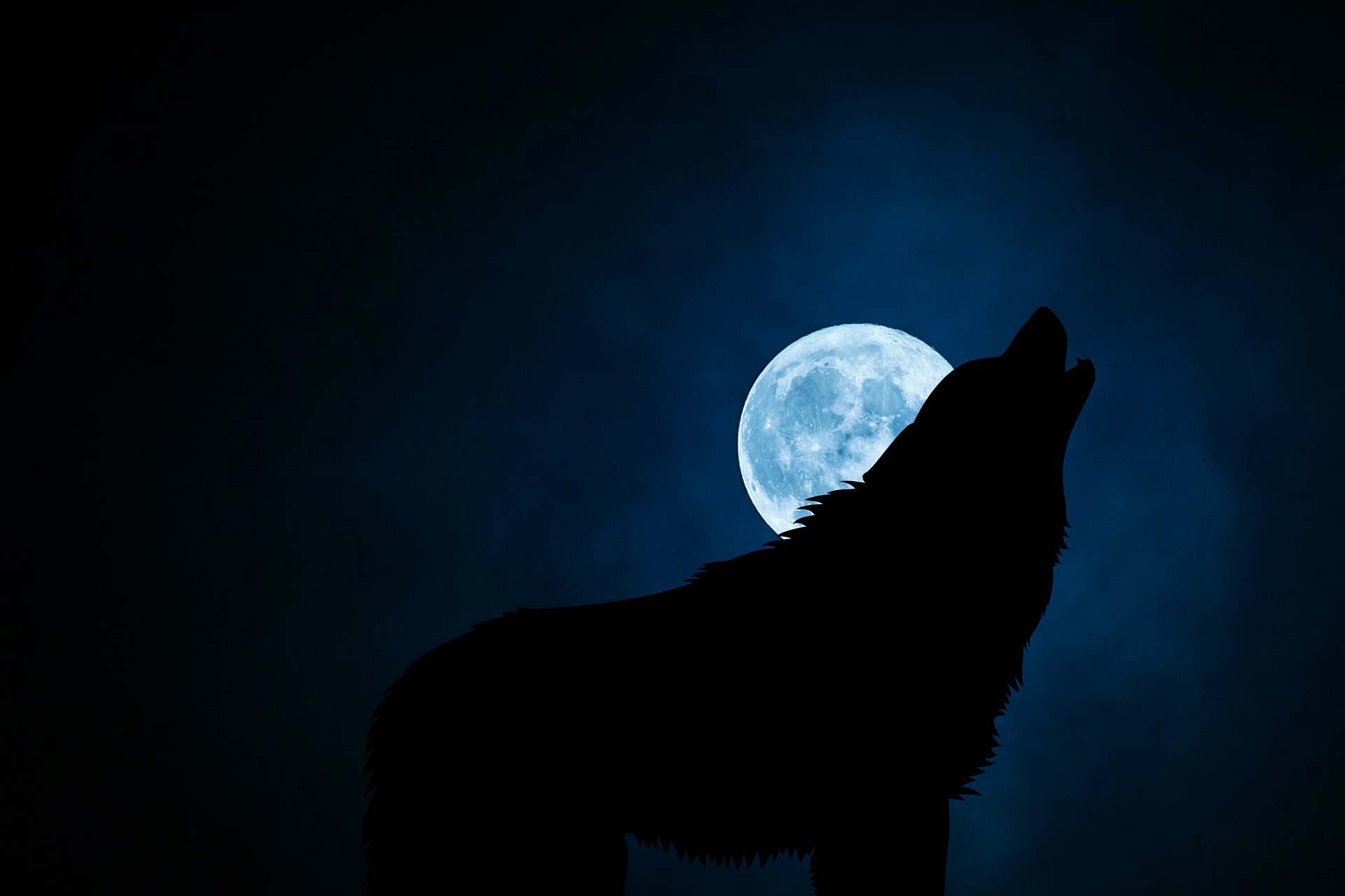 A wolf howling at the moon