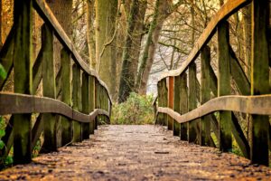 A wooden bridge in the woods on a fall day