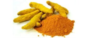 Turmeric for the Tao to Wellness smoothie