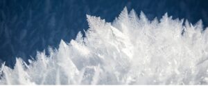 Trees with snow in the winter time