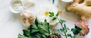 White flowers on a table