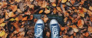 Converse all stars sneakers standing on colored fall leaves