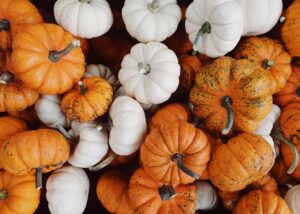 Small pile of pumpkins in Berkeley