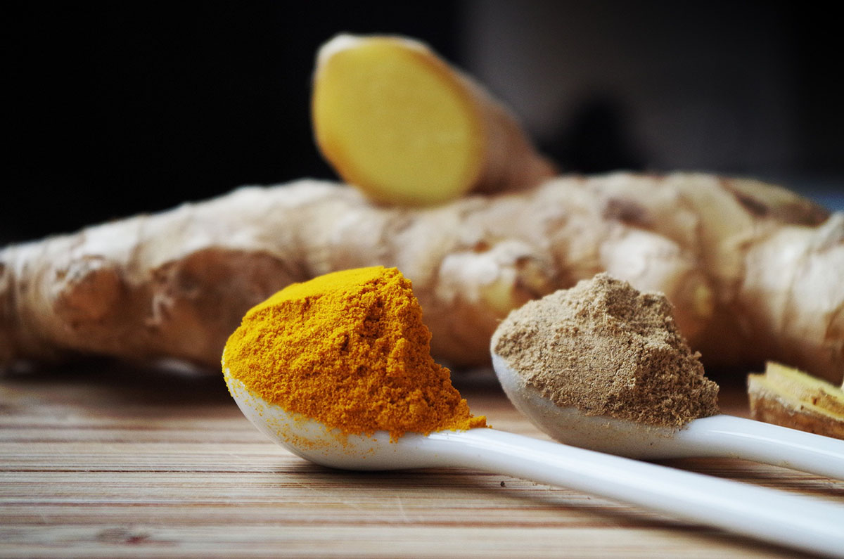 Fresh ginger root in the background with turmeric and ginger powder in white spoons on a wooden surface, showcasing natural ingredients for health and wellness.