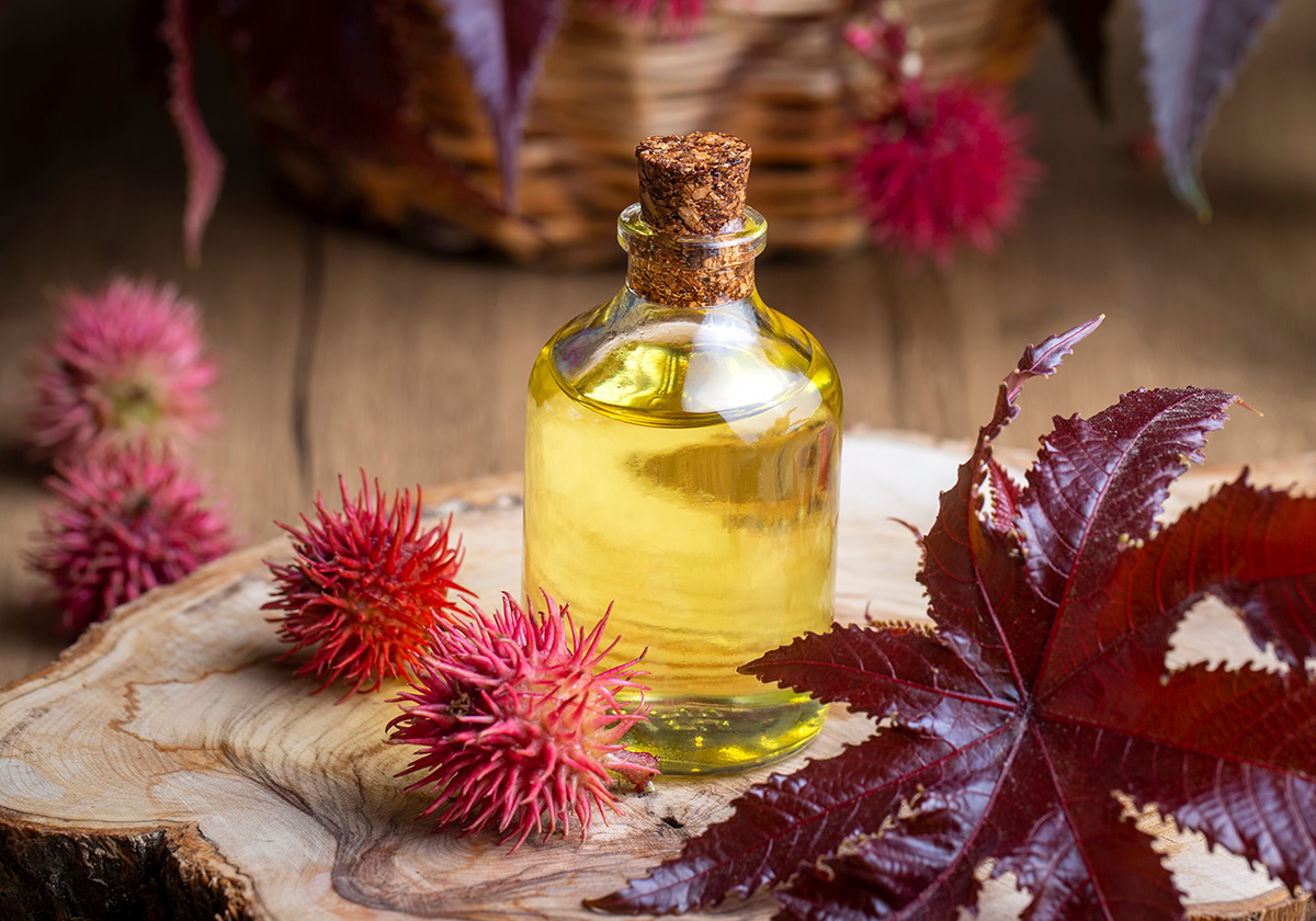 Castor oil bottle with castor fruits, seeds and leaf. Ricinus Communis plant oil.