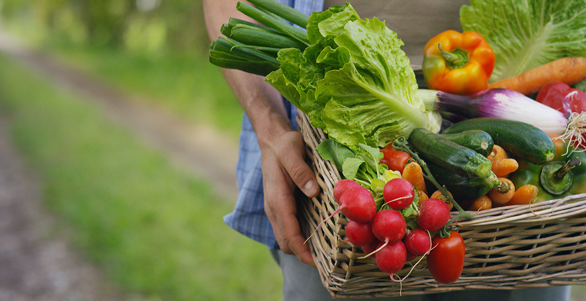 Portrait of a happy young farmer holding fresh vegetables in a basket.