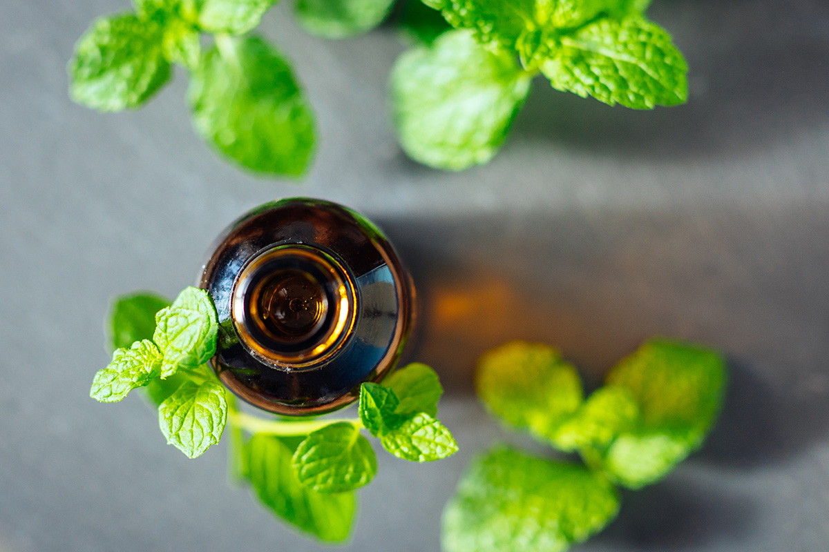 Peppermint oil, which is used to treat a range of illnesses, including digestive conditions, colds, and headaches