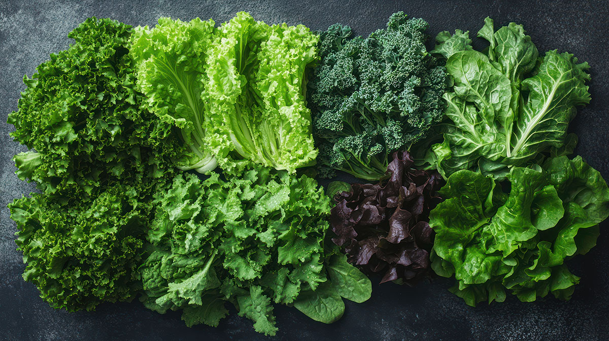 Assortment of Fresh Green Leafy Vegetables